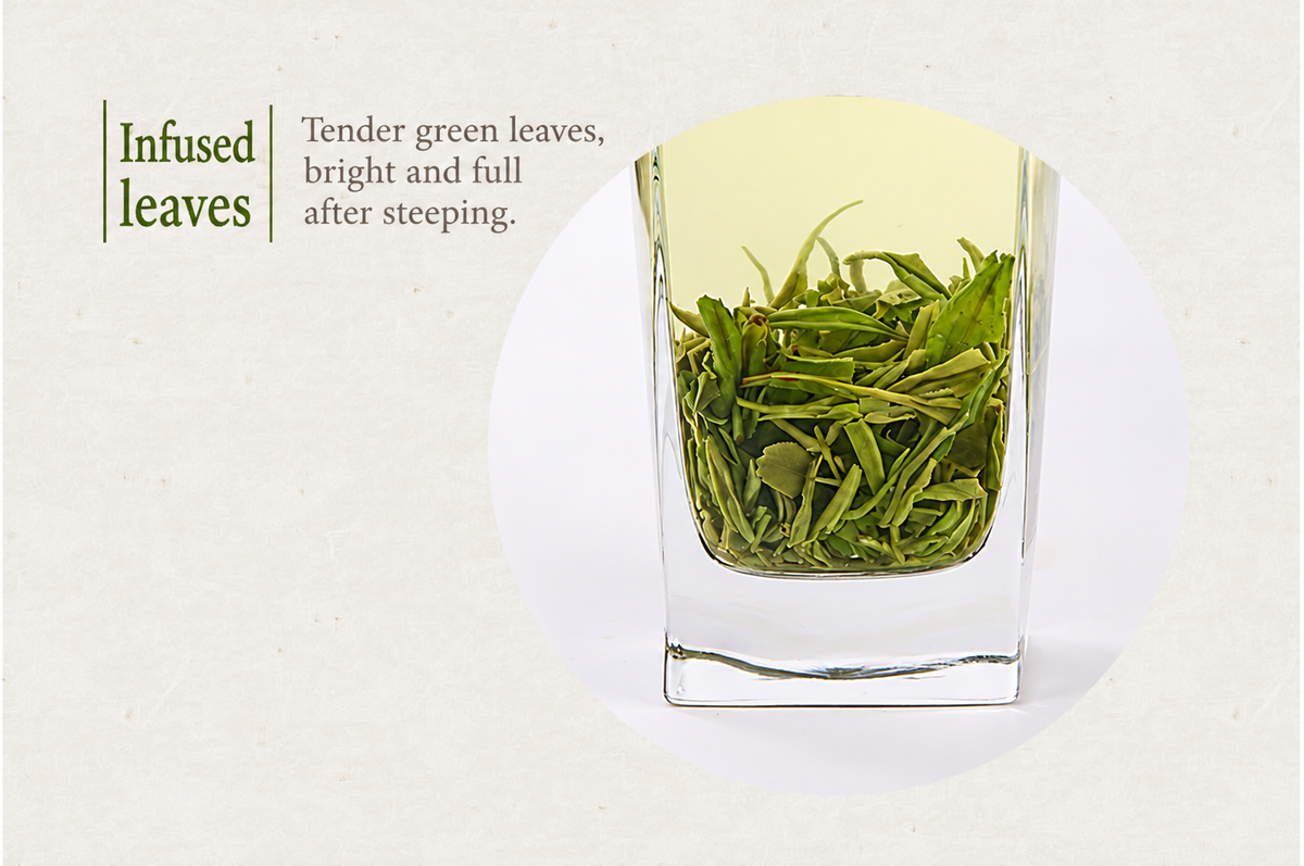 Infused Biluochun leaves