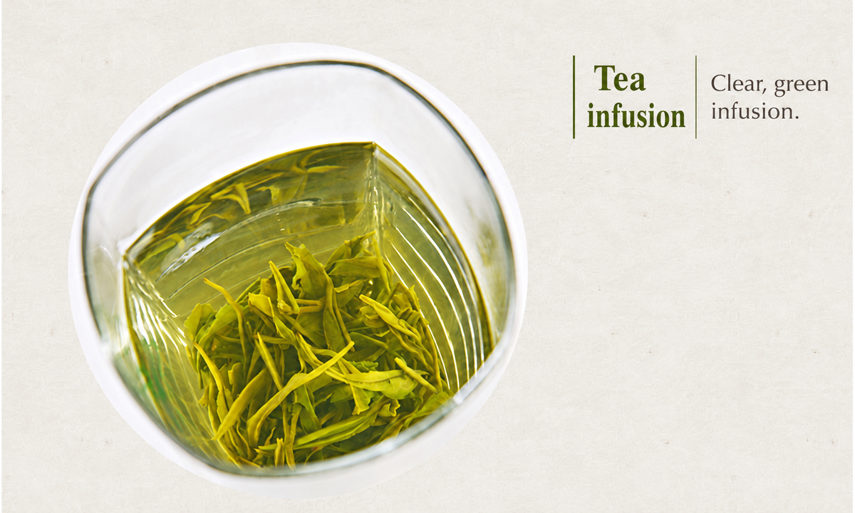 Biluochun tea infusion details